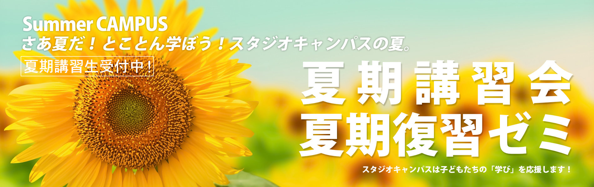 夏期講習